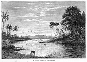Orinoco: VENEZUELA ORINOCO