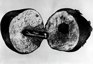 Espionage: A venom capsule inserted in a fruit