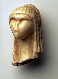 Elephantoidea: Venus of Brassempouy