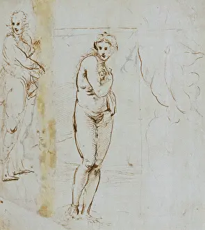 Stampe: Venus and figure studies, drawings by Raphael