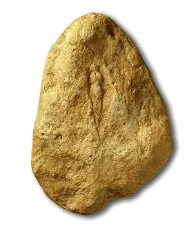 Artefact: Venus in limestone