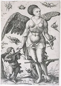 Belly: Venus and Love