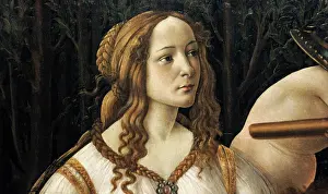 Venus and Mars (detail), by Botticelli
