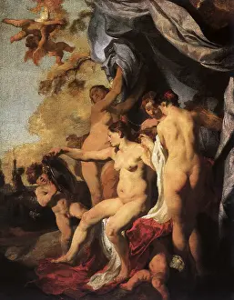 Liss: Venus at her Mirror