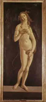 Mithology: Venus Pudica, by Botticelli