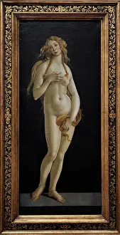 Botticelli: Venus Pudica, by Botticelli