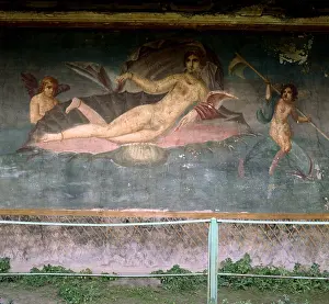 Pompei: Venus resting in the shell. House of Venus, Pompei