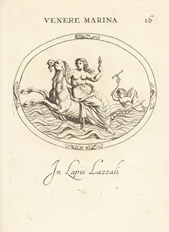 Abraham Blooteling: Venus riding Capricorn in the ocean