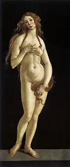 Botticelli: Venus, by Studio of Botticelli