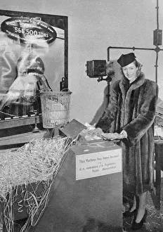 Shredding: Vera Lynn shredding her fan mail for the war effort