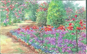 Pressland: Verbenas in bloom'. Garden with path and flower borders