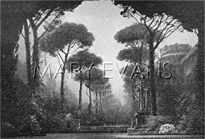 Trovatore: VERDI/TROVATORE/I.2
