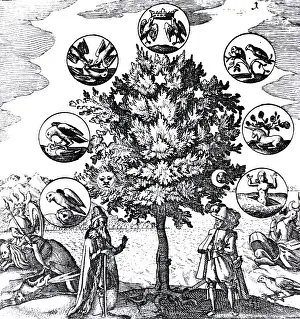 Unicorn: Via Veritatis, The Way of Truth, 1677