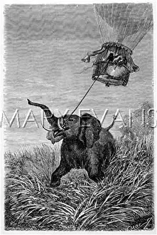 Semaines: VERNE BALLOON - ELEPHANT