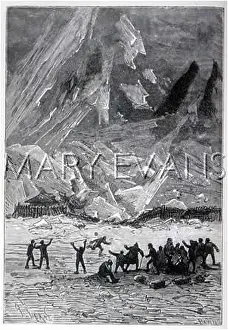 Fourrures: VERNE, THE FUR COUNTRY