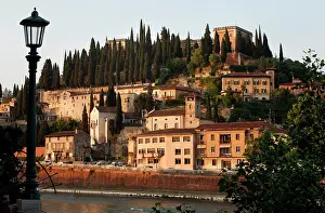 Petro: Verona