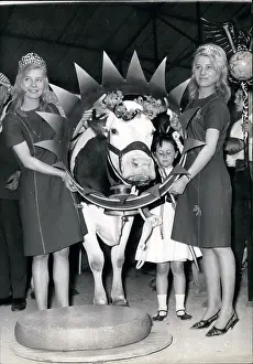 Veronique: Veronique, Queen of the Gruyere Cows
