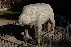 Celts: Verraco, Celtic statue of a boar, Avila, Castile