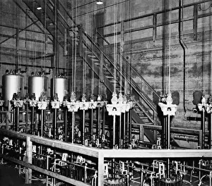 Silvered: The vertical safety rods and the cables ?