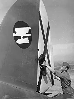 Belongs: Vertical stabilizer of a bomber of the Condor Legion, Spain