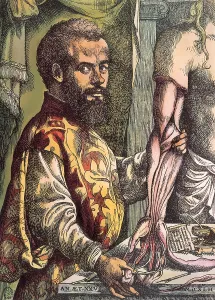 Vesalius: Vesalius, Andreas (1514-1564)