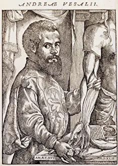 Humani: Vesalius, Andreas, 31.12.1514 - 15.10.1564, Flemish