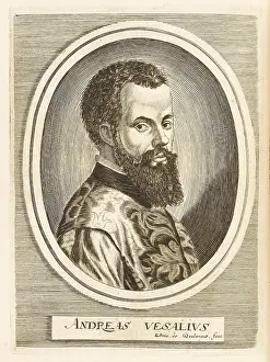 Vesalius: VESALIUS/BOULONOIS