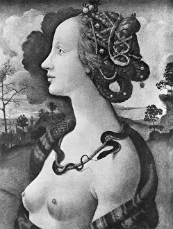Cosimo: Vespucci, Simonetta, 28.1.1453 - 26.4.1456, muse