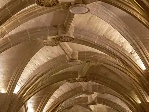 Cornucopias: Vestibule ceiling, Chateau de Chenonceau