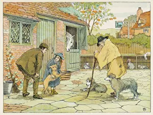 Advises: Vet (Bedford)