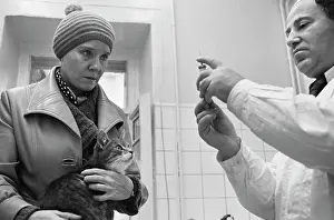 Injection: Veterinarian