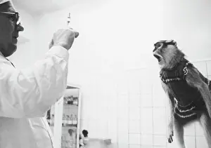 Clinic: Veterinary clinic, 1977