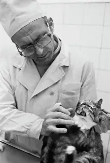 Nosov: Veterinary clinic