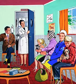At the vets