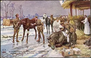 Equivalent: VETS IN WW1