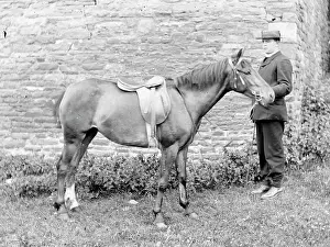 Bridle: Vicar and his horse, Mid Wales