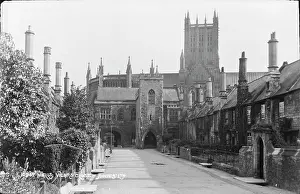 Shrubs: Vicars Close in Wells