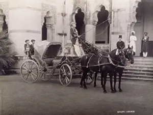 Viceregal: VICEREGAL COACH, INDIA