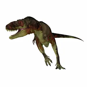 Torosus: A vicious Daspletosaurus dinosaur running