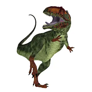Carcharodontosaurid: A vicious Giganotosaurus dinosaur, front view