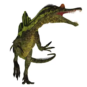 Laosensis: A vicious Ichthyovenator dinosaur