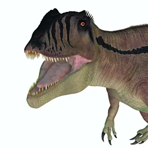 Iguidensis: A vicious looking Carcharodontosaurus dinosaur