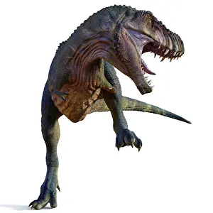 Rearing: A vicious male T-rex dinosaur