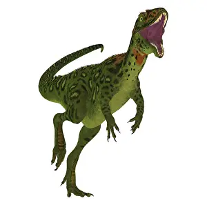 Ceratosaur: A vicious Masiakasaurus dinosaur