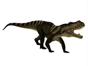 Menacing: A vicious Prestosuchus reptile, isolated on white background