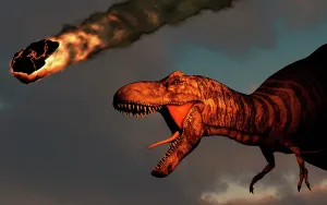Tyrannosaurus: A vicious T-rex dinosaurs observing a falling asteroid