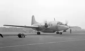 Varsity: Vickers Varsity T.1 WL624