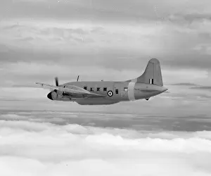 Wellington: Vickers Varsity VX828