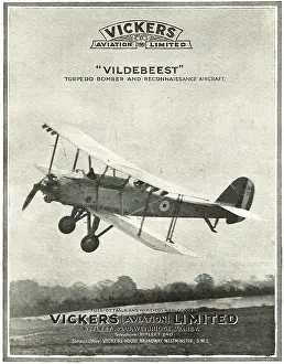 Vildebeest: Vickers Vildebeest