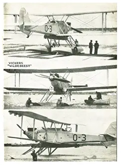 Vildebeest: Vickers Vildebeest